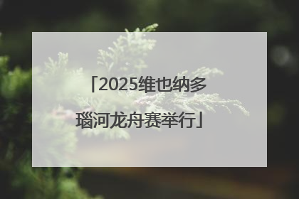 2025维也纳多瑙河龙舟赛举行