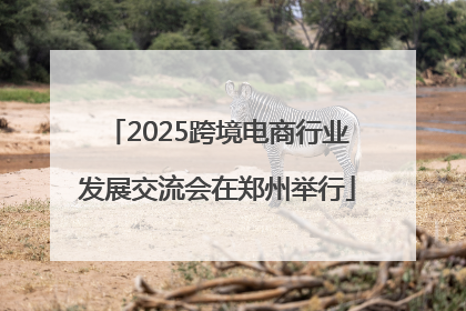 2025跨境电商行业发展交流会在郑州举行