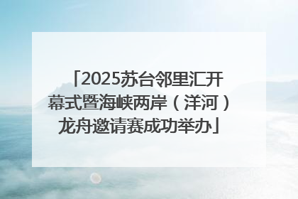 2025苏台邻里汇开幕式暨海峡两岸（洋河）龙舟邀请赛成功举办