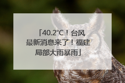 40.2℃！台风最新消息来了！福建局部大雨暴雨