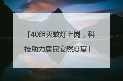 40组灭蚊灯上岗，科技助力居民安然度夏