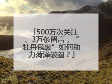 500万次关注、3万条留言，“牡丹包裹”如何助力菏泽破圈？