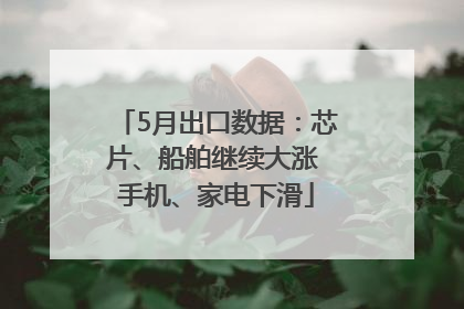 5月出口数据：芯片、船舶继续大涨 手机、家电下滑