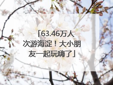 63.46万人次游海淀！大小朋友一起玩嗨了