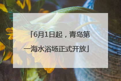 6月1日起，青岛第一海水浴场正式开放
