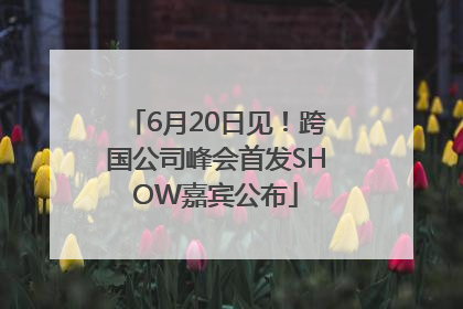 6月20日见！跨国公司峰会首发SHOW嘉宾公布