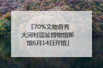 70%文物首秀 大河村遗址博物馆新馆6月14日开馆