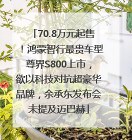 70.8万元起售！鸿蒙智行最贵车型尊界S800上市，欲以科技对抗超豪华品牌，余承东发布会未提及迈巴赫