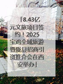 8.43亿元文旅项目签约！2025宝鸡全域旅游暨陇县招商引资推介会在西安举办