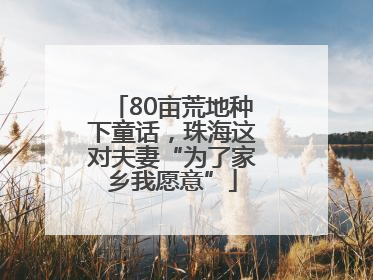 80亩荒地种下童话，珠海这对夫妻“为了家乡我愿意”