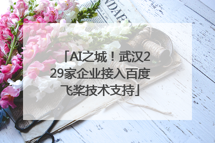 AI之城！武汉229家企业接入百度飞桨技术支持