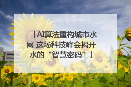 AI算法重构城市水网 这场科技峰会揭开水的“智慧密码”