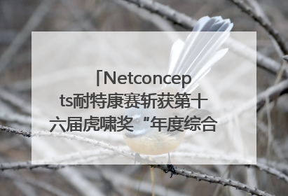 Netconcepts耐特康赛斩获第十六届虎啸奖“年度综合服务商”大奖